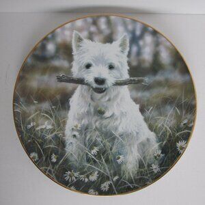 Danbury Mint  Westie collector plate